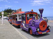 Le Petit Train