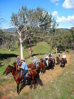 Trail Riding doesn't get much better